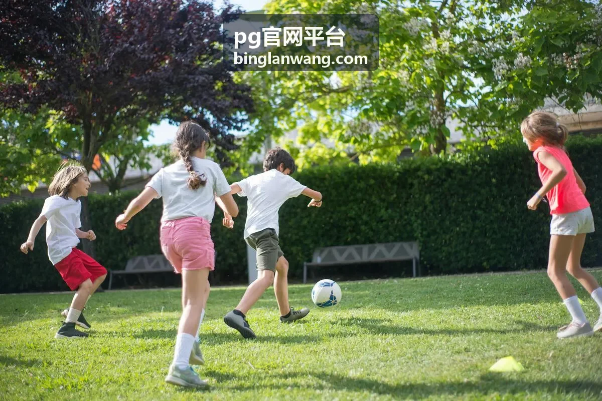 pg官网平台支付成功但余额未到账如何查询
